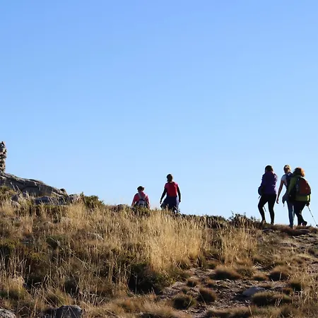 Eira Costa House By Casas